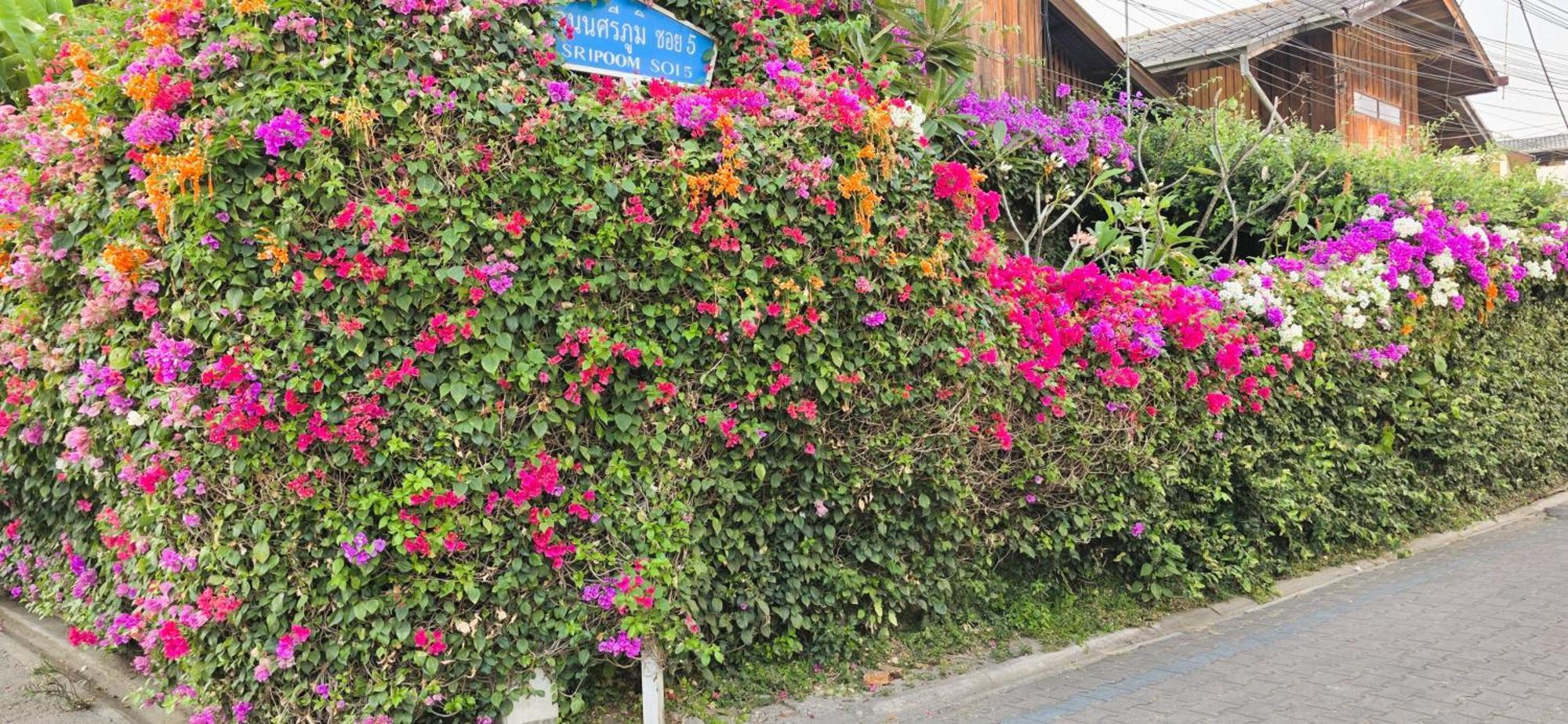 清邁 斯理万旅馆旅舍 外观 照片